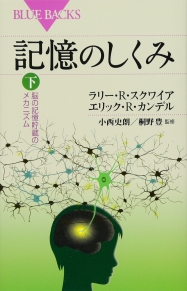 記憶のしくみ　下